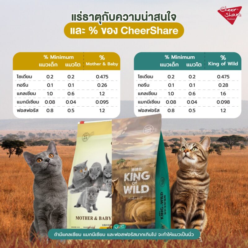 CatHoliday เชียร์แชร์ Cheershare อาหารแมว สูตร Mother & Baby cat ขนาด 10 kg. - Image 8