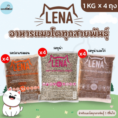 [ 1kg x 4 ถุง ] อาหารแมว LENA อาหารเม็ดแมว เลน่า ไม่เติมเกลือ ไม่เค็ม โปรตีนสูงจากเนื้อปลา สำหรับแมวโตทุกสายพันธุ์ 1 ปี+