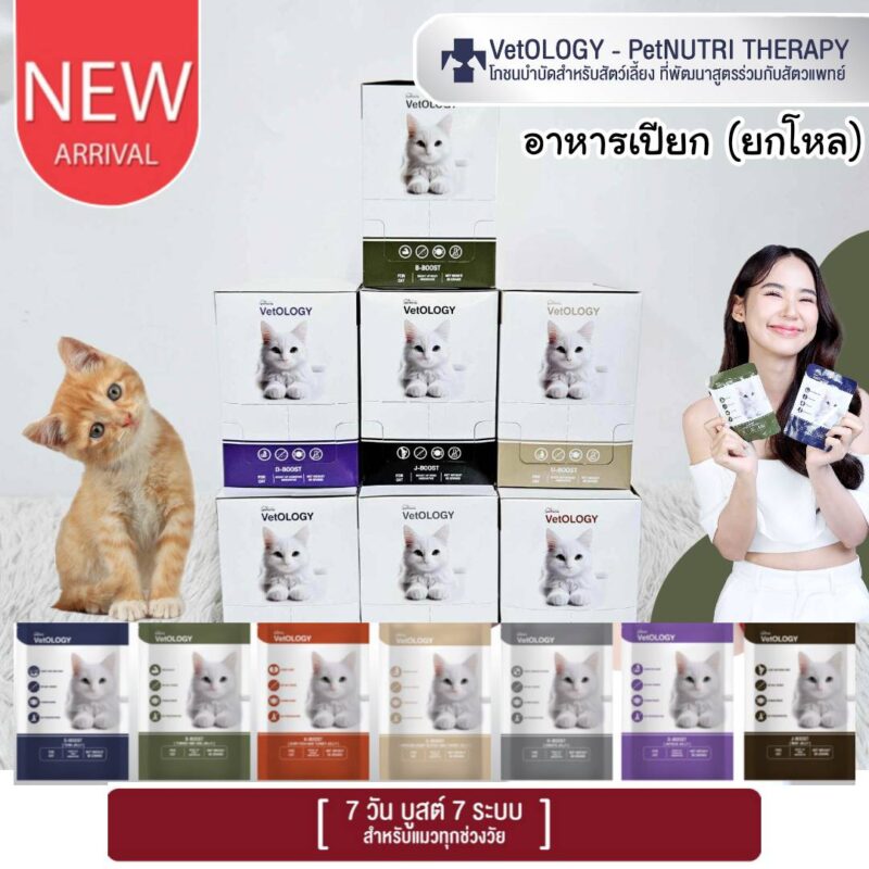 CatHoliday  เพ็ทเทอเรีย อาหารเปียก VetOLOGY Boost  สำหรับแมวทุกช่วงวัย