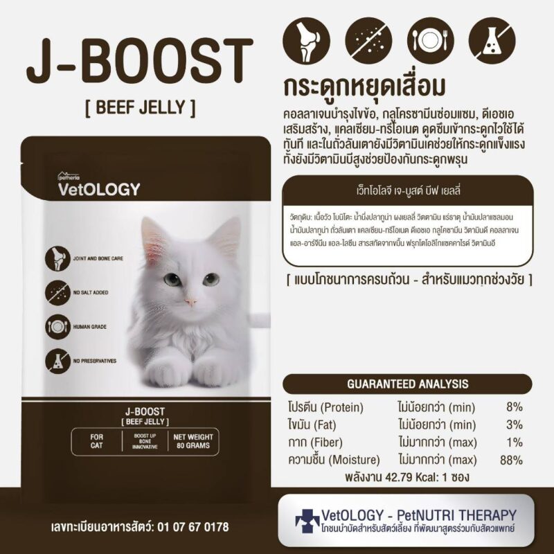 CatHoliday เพ็ทเทอเรีย อาหารเปียก VetOLOGY Boost  สำหรับแมวทุกช่วงวัย - Image 19