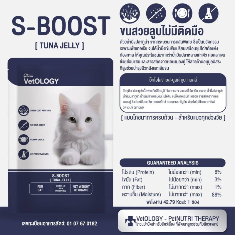 CatHoliday เพ็ทเทอเรีย อาหารเปียก VetOLOGY Boost  สำหรับแมวทุกช่วงวัย - Image 18