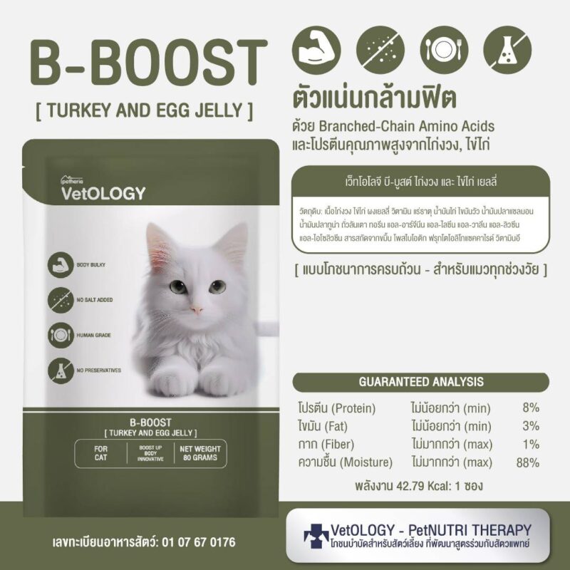 CatHoliday เพ็ทเทอเรีย อาหารเปียก VetOLOGY Boost  สำหรับแมวทุกช่วงวัย - Image 14