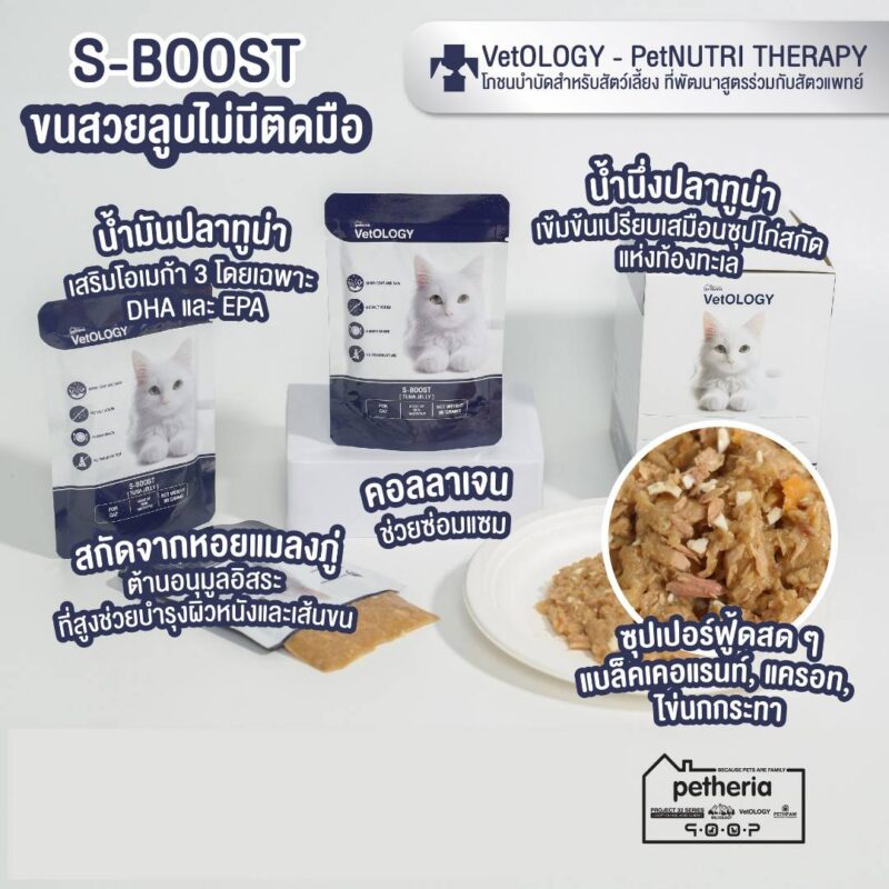 CatHoliday เพ็ทเทอเรีย อาหารเปียก VetOLOGY Boost  สำหรับแมวทุกช่วงวัย - Image 12