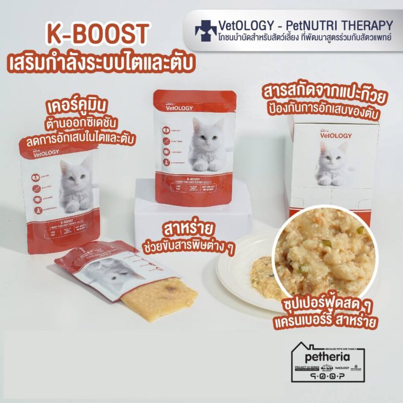 CatHoliday เพ็ทเทอเรีย อาหารเปียก VetOLOGY Boost  สำหรับแมวทุกช่วงวัย - Image 10