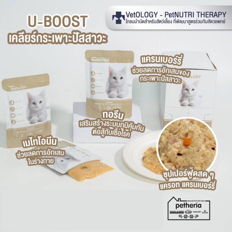 CatHoliday เพ็ทเทอเรีย อาหารเปียก VetOLOGY Boost  สำหรับแมวทุกช่วงวัย - Image 9