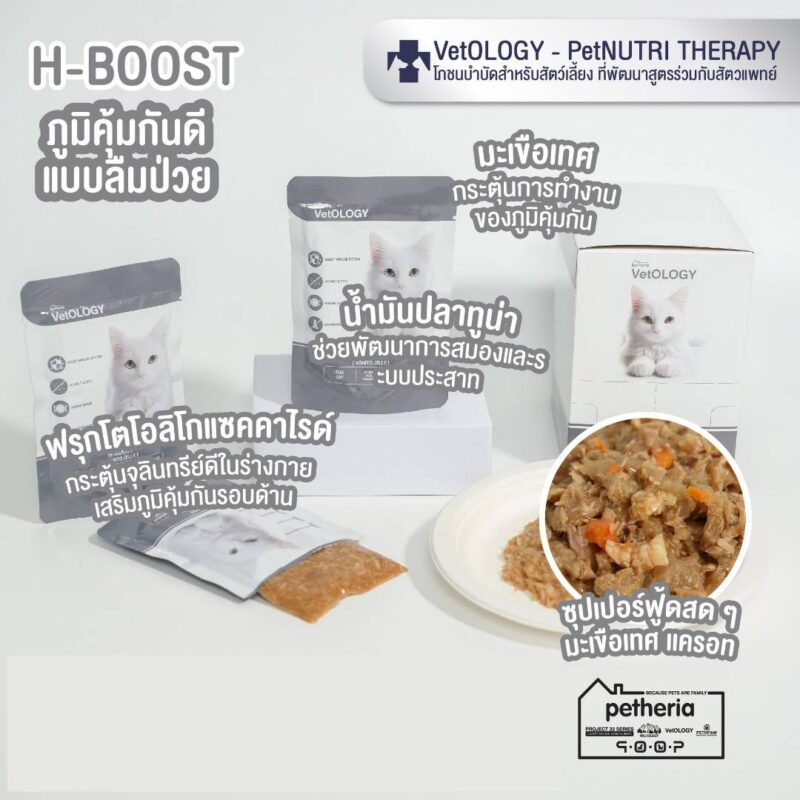 CatHoliday เพ็ทเทอเรีย อาหารเปียก VetOLOGY Boost  สำหรับแมวทุกช่วงวัย - Image 7