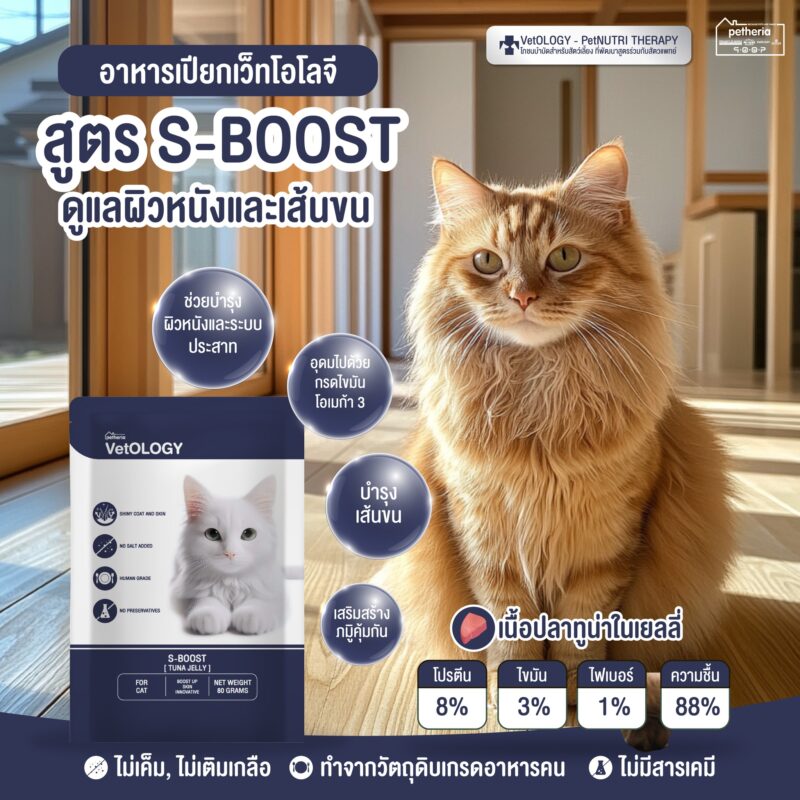 CatHoliday เพ็ทเทอเรีย อาหารเปียก VetOLOGY Boost  สำหรับแมวทุกช่วงวัย - Image 3