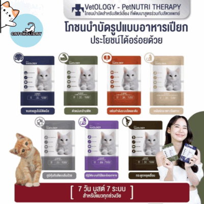 Petheria for food cat