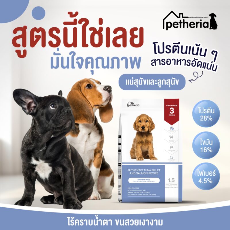 CatHoliday เพ็ทเทอเรีย Petheria อาหารสุนัขแบบเม็ด มีให้เลือกทุกช่วงวัย  ขนาด 1.5 กิโลกรัม - Image 17