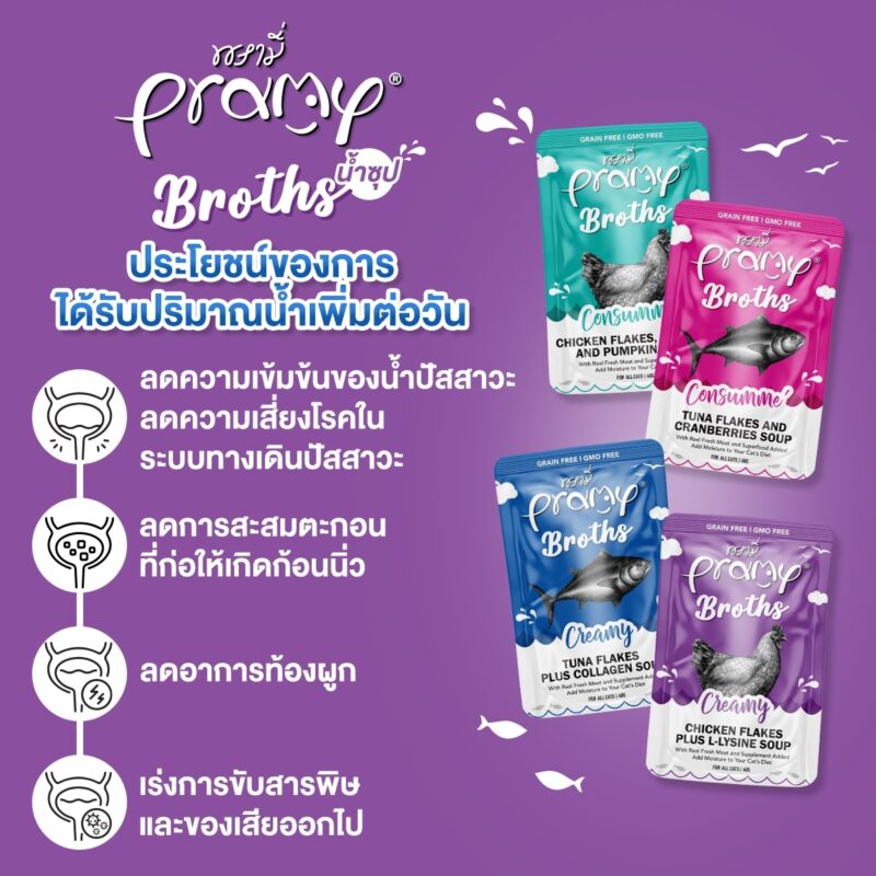 CatHoliday พรามี่ บรอธซุป Pramy Broths อาหารเปียกแมว - Image 8