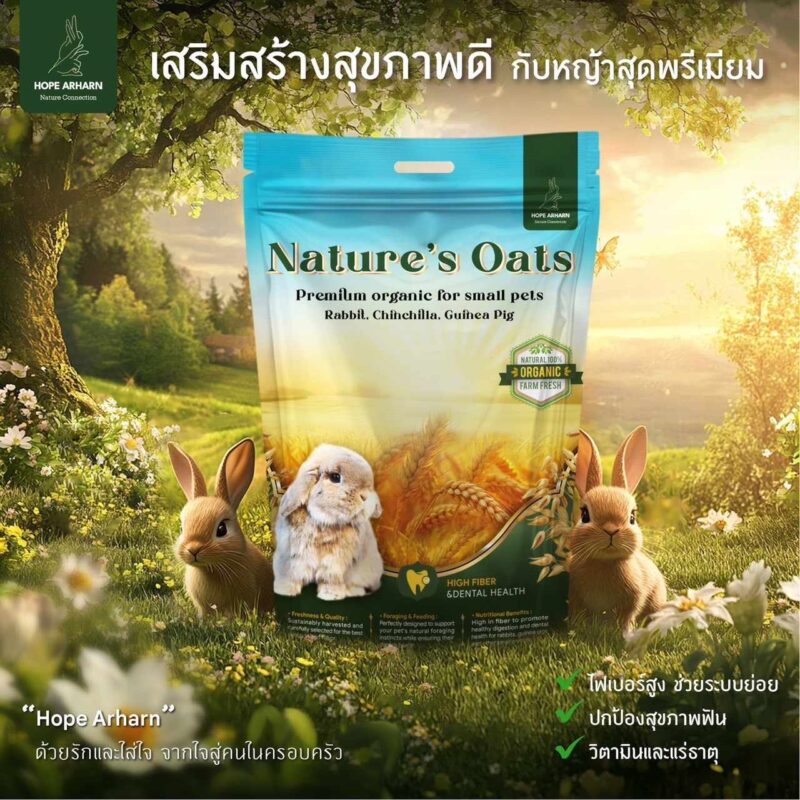 CatHoliday โฮ๊ป อาฮาล หญ้าโอ้ตเกรดพรีเมี่ยม Hope Arharn  Nature's Oat ขนาด 500 กรัม - Image 9