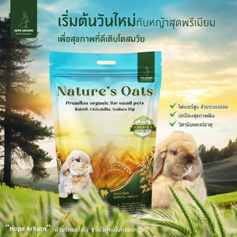 CatHoliday โฮ๊ป อาฮาล หญ้าโอ้ตเกรดพรีเมี่ยม Hope Arharn  Nature's Oat ขนาด 500 กรัม - Image 6