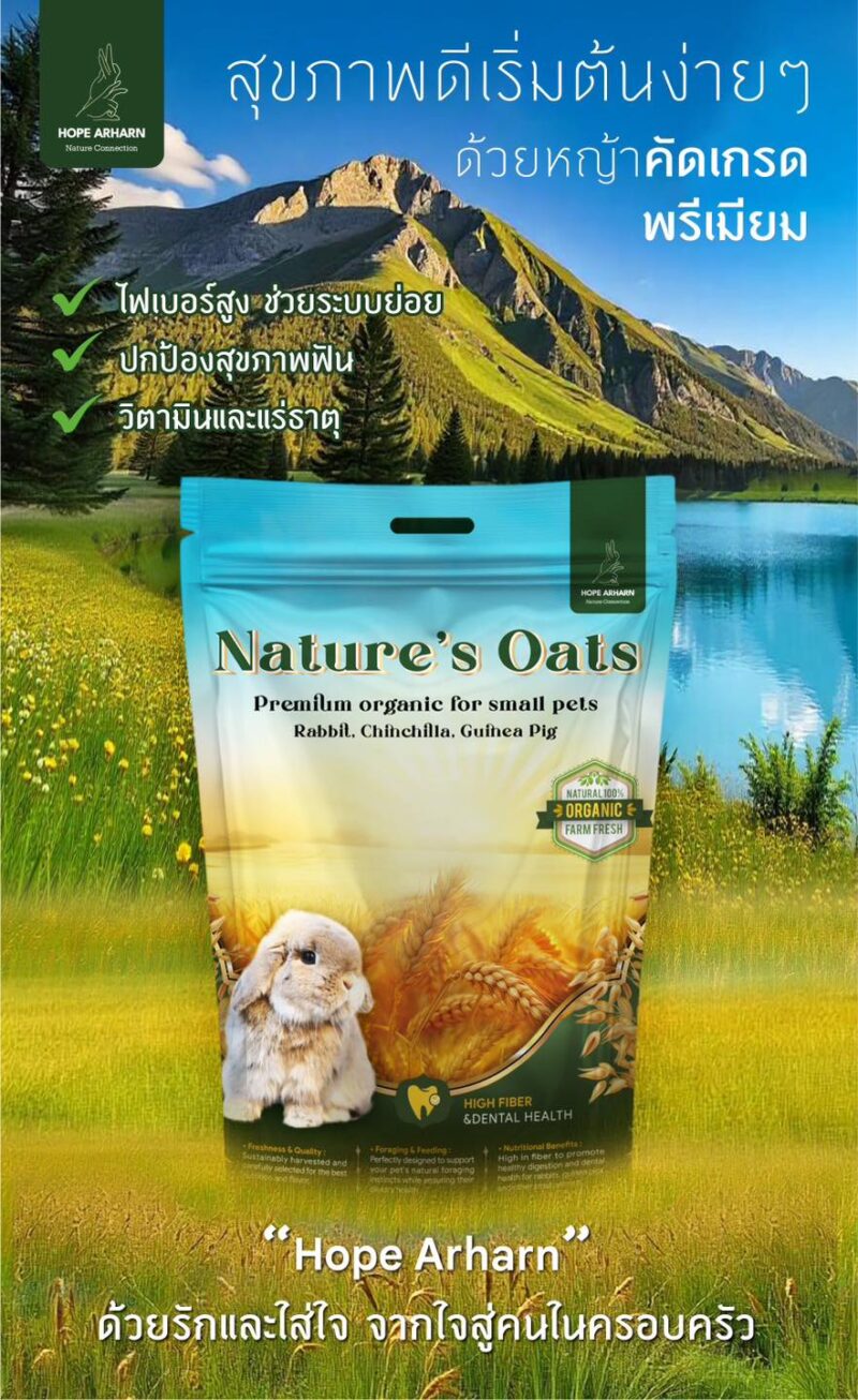 CatHoliday โฮ๊ป อาฮาล หญ้าโอ้ตเกรดพรีเมี่ยม Hope Arharn  Nature's Oat ขนาด 500 กรัม - Image 2