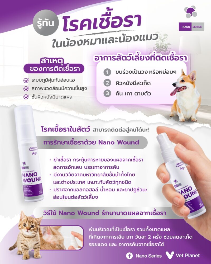 CatHoliday สเปรย์นาโน วูนด์ Nano Wound Spray สเปรย์พ่นแผล สัตว์เลี้ยงทุกชนิด แผลสด ฆ่าเชื้อรา ฆ่าเชื้อแบคทีเรีย - Image 9