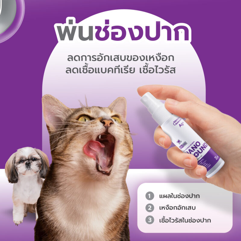 CatHoliday สเปรย์นาโน วูนด์ Nano Wound Spray สเปรย์พ่นแผล สัตว์เลี้ยงทุกชนิด แผลสด ฆ่าเชื้อรา ฆ่าเชื้อแบคทีเรีย - Image 8