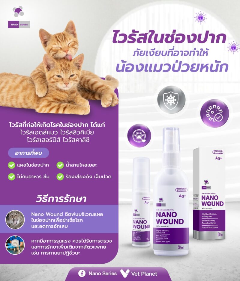 CatHoliday สเปรย์นาโน วูนด์ Nano Wound Spray สเปรย์พ่นแผล สัตว์เลี้ยงทุกชนิด แผลสด ฆ่าเชื้อรา ฆ่าเชื้อแบคทีเรีย - Image 6