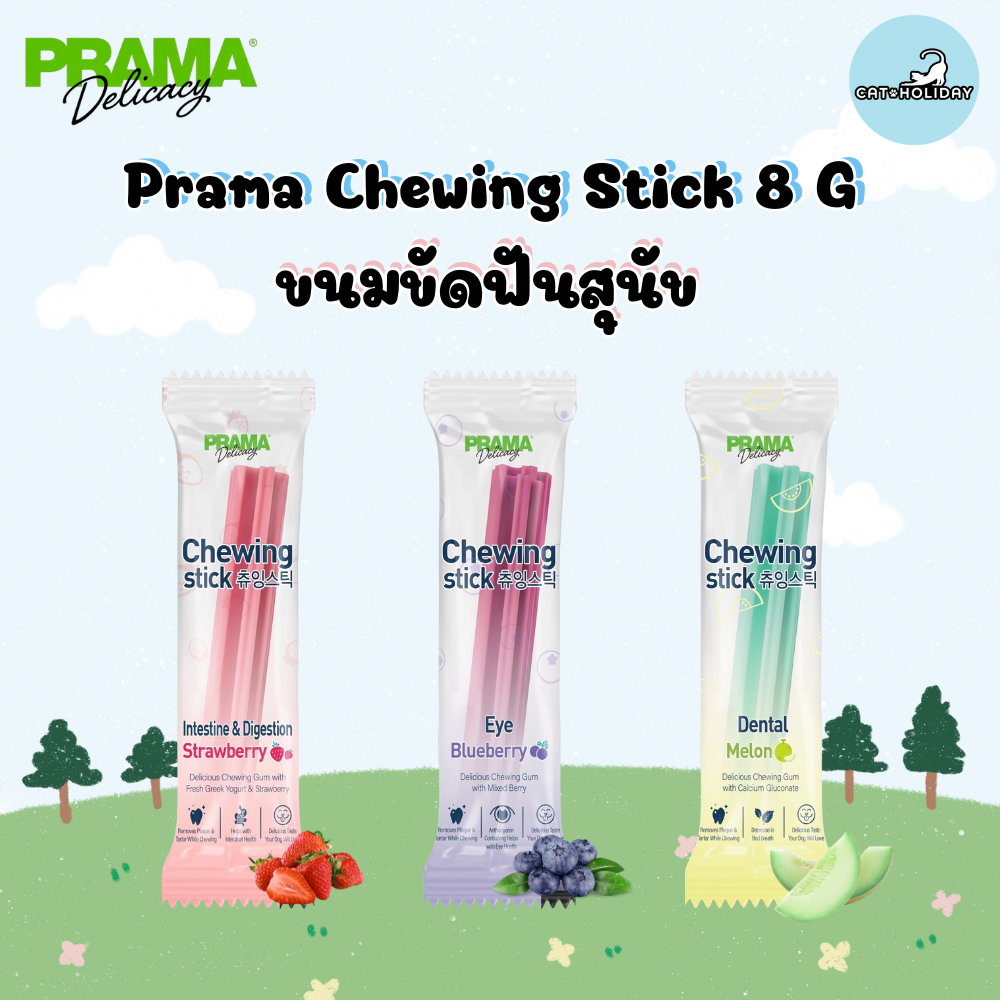 Prama Chewing Stick for dog