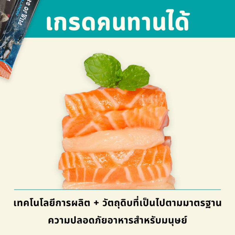 CatHoliday ไบต์ออฟไวด์  Bite of Wild ขนมแมวเลีย รสไก่และปลาแซลมอน สำหรับช่วยย่อยอาหาร ขนาด 60 กรัม - Image 7