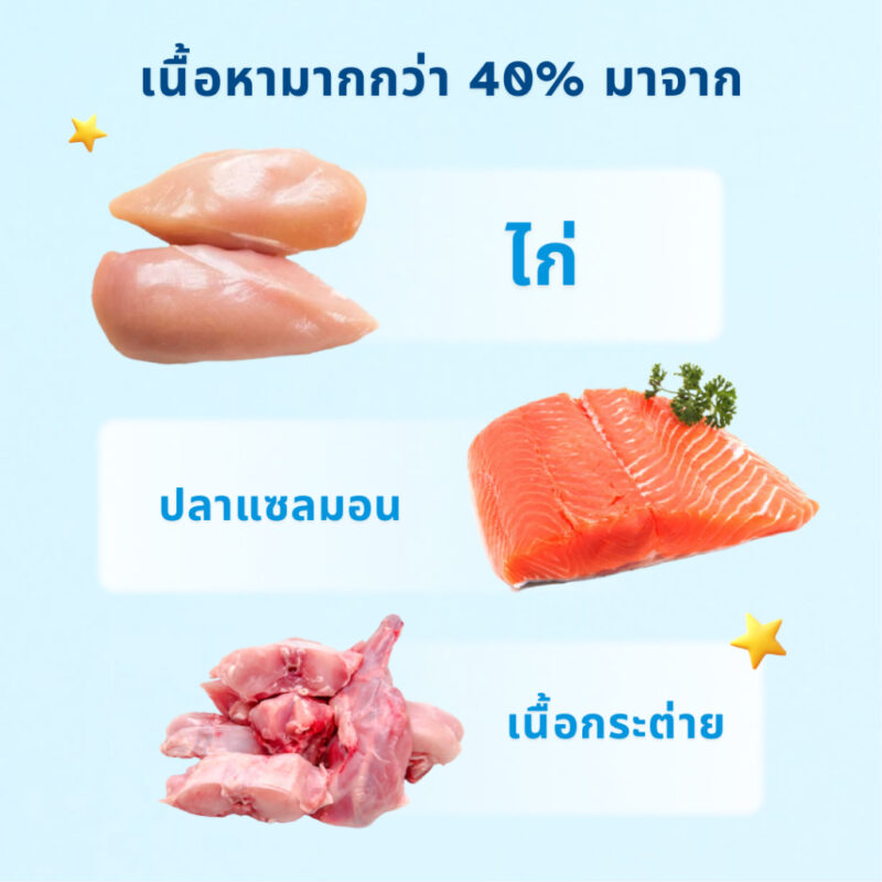 CatHoliday มิสเตอร์เว็ท MRVET ขนมแมวเลีย 1 แพ็ค 4 ซอง 60 กรัม สูตรไก่และตับไก่ เหมาะสำหรับแมวทุกช่วงวัย - Image 12