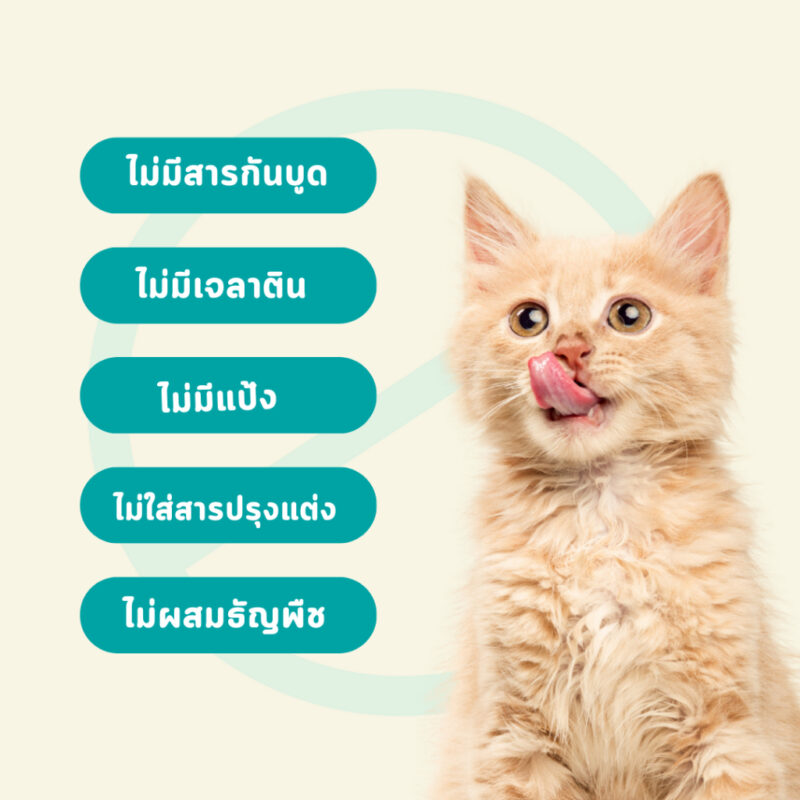 CatHoliday ไบต์ออฟไวด์  Bite of Wild ขนมแมวเลีย รสไก่และปลาแซลมอน สำหรับช่วยย่อยอาหาร ขนาด 60 กรัม - Image 5