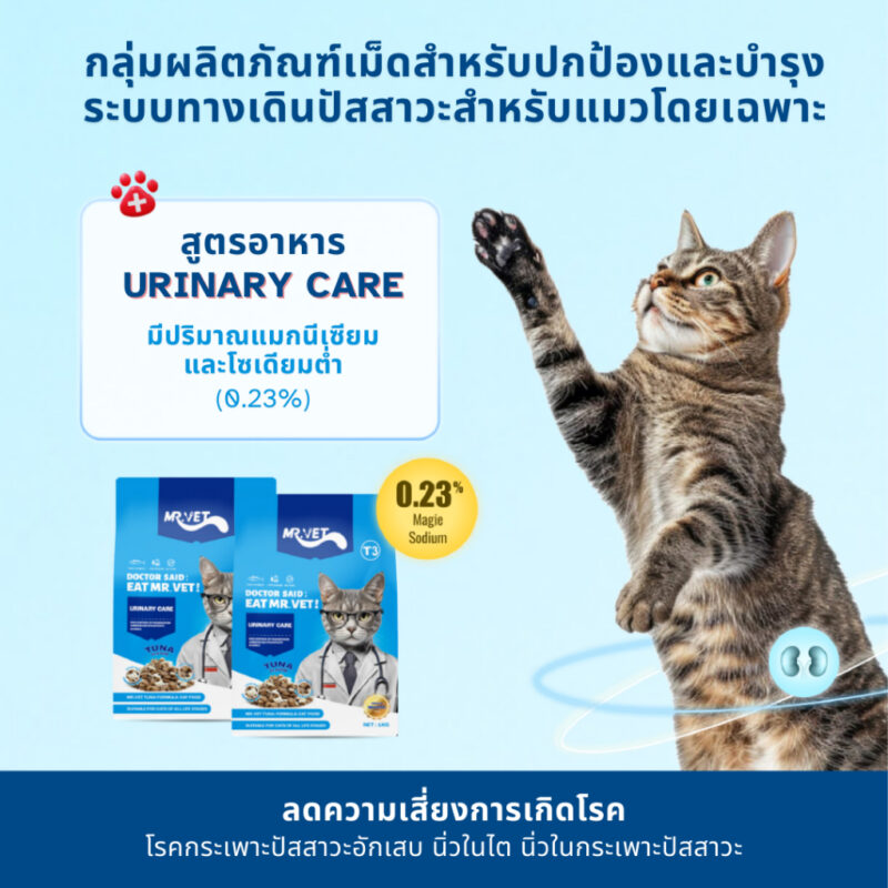 CatHoliday มิสเตอร์เว็ท MRVET อาหารเม็ดแมว Holistic ขนาด 1 kg. - Image 6