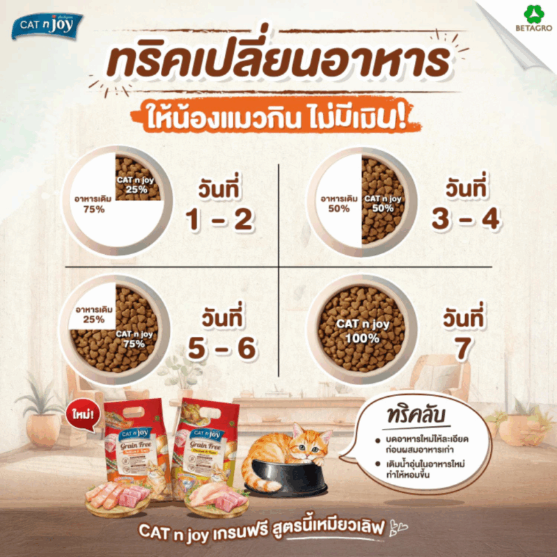 CatHoliday แคทเอ็นจอย CAT n joy Grainfree แมวโต ขนาด 1 kg อาหารเม็ดแมว - Image 3