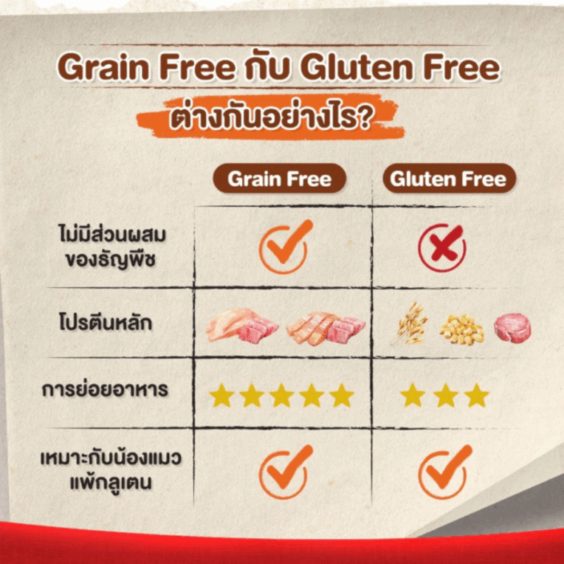 CatHoliday แคทเอ็นจอย CAT n joy Grainfree แมวโต ขนาด 1 kg อาหารเม็ดแมว - Image 4