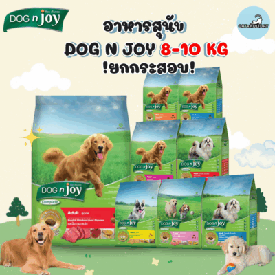 CatHoliday [ขนาด 8-10 กิโลกรัม] อาหารสุนัข Dog n joy ด็อกเอ็นจอย อาหารเม็ดสุนัข