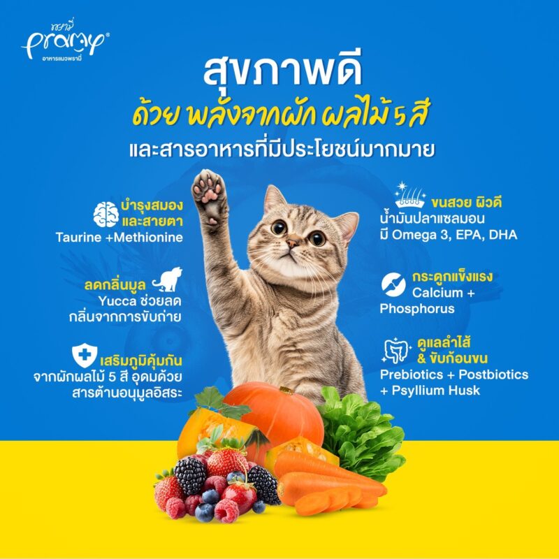 CatHoliday อาหารแมว Pramy Carnivore [ ถุง 1 kg ] พรามี่ สูตรเน้นเนื้อแท้ โปรตีนสูง ไม่มีสารกันบูด - Image 2