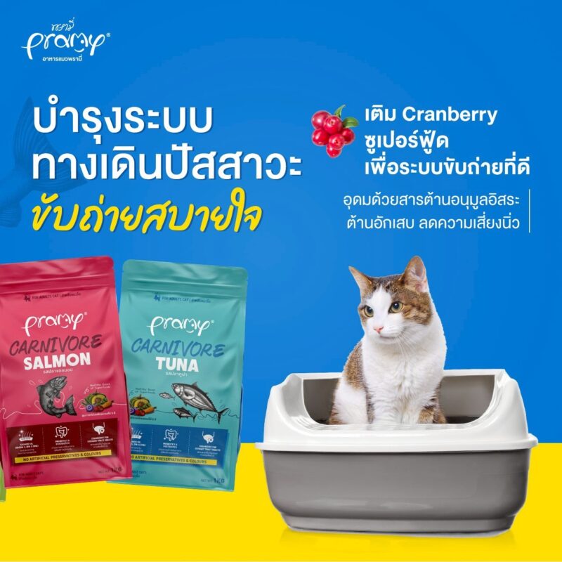 CatHoliday อาหารแมว Pramy Carnivore [ ถุง 1 kg ] พรามี่ สูตรเน้นเนื้อแท้ โปรตีนสูง ไม่มีสารกันบูด - Image 3