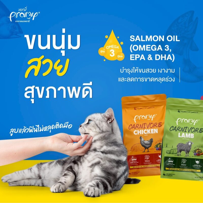 CatHoliday อาหารแมว Pramy Carnivore [ ถุง 1 kg ] พรามี่ สูตรเน้นเนื้อแท้ โปรตีนสูง ไม่มีสารกันบูด - Image 4
