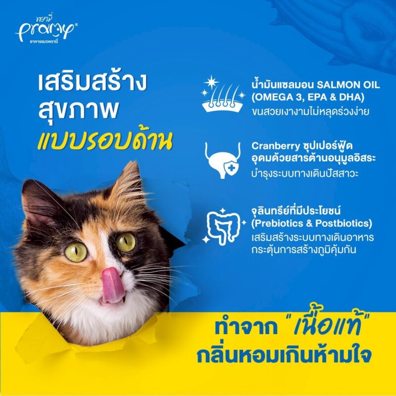 CatHoliday อาหารแมว Pramy Carnivore [ ถุง 1 kg ] พรามี่ สูตรเน้นเนื้อแท้ โปรตีนสูง ไม่มีสารกันบูด - Image 5