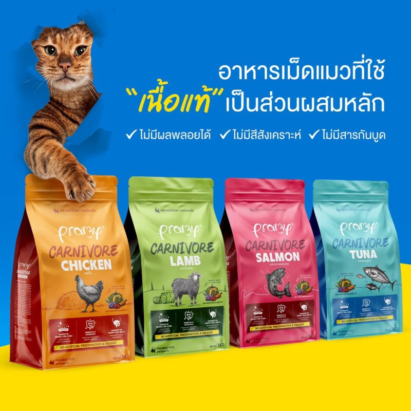 CatHoliday อาหารแมว Pramy Carnivore [ ถุง 1 kg ] พรามี่ สูตรเน้นเนื้อแท้ โปรตีนสูง ไม่มีสารกันบูด - Image 7