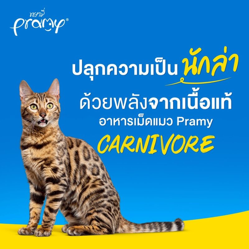 CatHoliday อาหารแมว Pramy Carnivore [ ถุง 1 kg ] พรามี่ สูตรเน้นเนื้อแท้ โปรตีนสูง ไม่มีสารกันบูด - Image 8