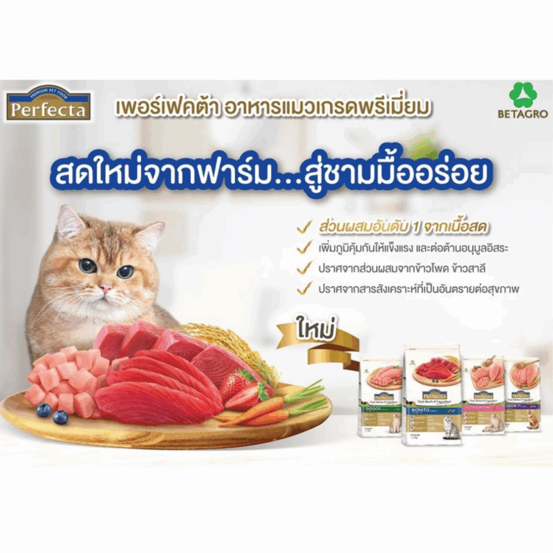 CatHoliday [ 1.2kg ] Perfecta เพอร์เฟคต้า อาหารแมว เกรดพรีเมี่ยม ใช้เนื้อแท้ คุณภาพสูง Human Grage - Image 2