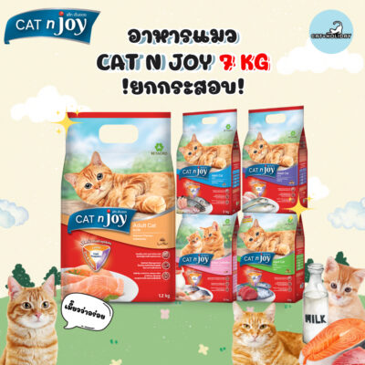 CatHoliday [ ถุง 7 kg ] อาหารแมว Cat n Joy Tripple Protection แคทเอ็นจอย อาหารเม็ดแมว
