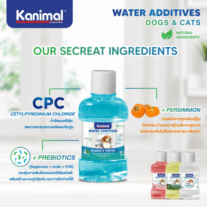 Kanimal Water Additives คานิมอล น้ำยาบ้วนปากสำหรับสุนัขและแมว 250 ml. ลมหายใจสดชื่น ลดคราบพลัคต่างๆ อ่อนโยน - Image 4