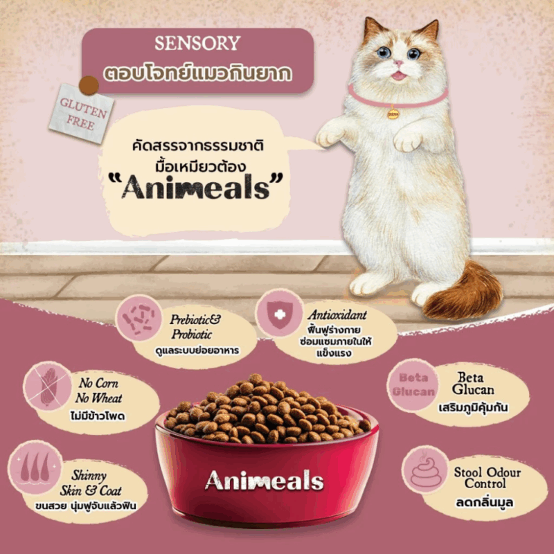 (400g - 1.2kg) แอนิมีลส์ Animeals อาหารแมวเพื่อสุขภาพ สูตรแกะและปลาทะเล สูตรแซลมอนทูน่า แมวกินยากสามารถทานได้ - Image 3