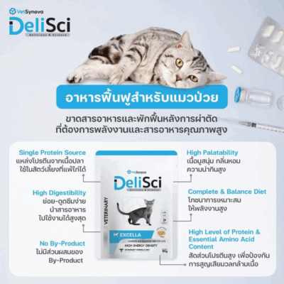 Alternative view of (1 ซอง) DeliSci เดลิซาย อาหารแมวเปียก เนื้อมูส สูตร Complete and Balanced ขนาด 70-80 กรัม