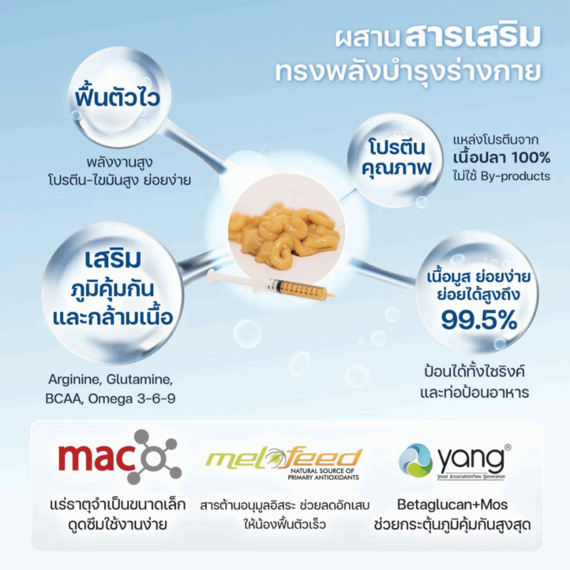 (1 ซอง) DeliSci เดลิซาย อาหารแมวเปียก เนื้อมูส สูตร Complete and Balanced ขนาด 70-80 กรัม - Image 3
