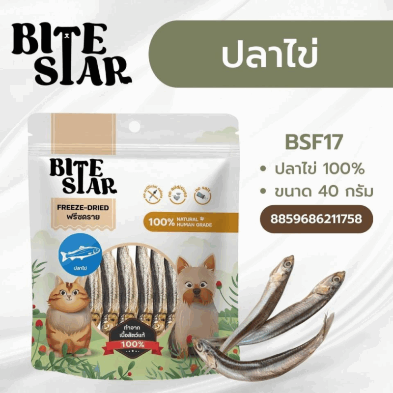 CatHoliday Bite Star [ 40g/60g ] ขนมฟรีซดราย ขนมสุนัขและแมว - Image 6