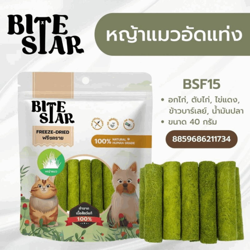 CatHoliday Bite Star [ 40g/60g ] ขนมฟรีซดราย ขนมสุนัขและแมว - Image 4