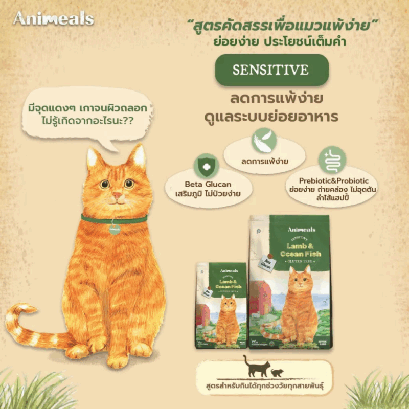 (400g - 1.2kg) แอนิมีลส์ Animeals อาหารแมวเพื่อสุขภาพ สูตรแกะและปลาทะเล สูตรแซลมอนทูน่า แมวกินยากสามารถทานได้ - Image 7