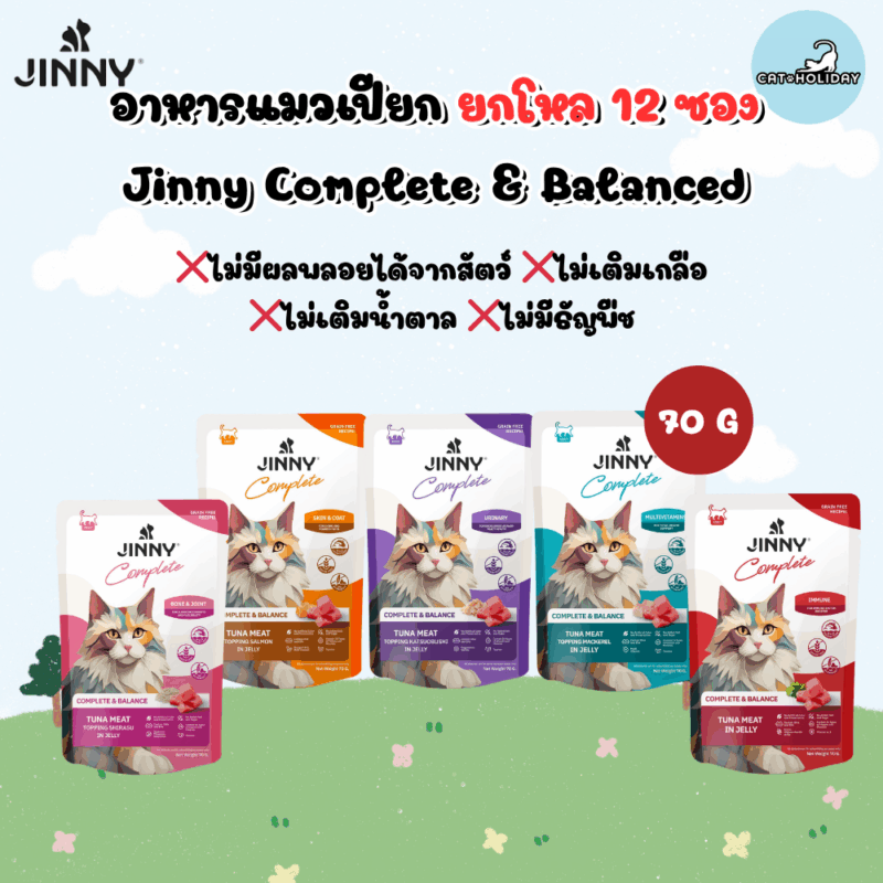 [ยกโหล 12 ซอง] Jinny Complete อาหารเปียกแมว จินนี่ คอมพลีท สูตรเกรนฟรี ไม่เติมเกลือและน้ำตาล