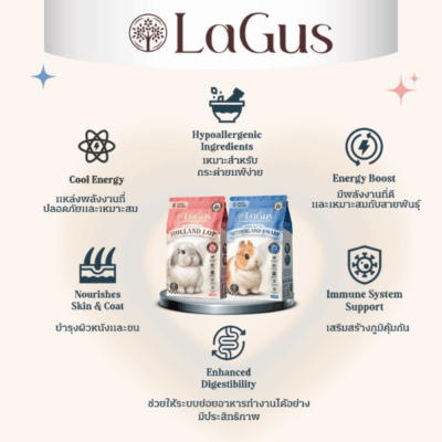 Alternative view of (1 KG) อาหารกระต่าย Lagus ลากัส สูตรเฉพาะสำหรับสายพันธุ์ Holland Lop & Netherland Dwarf