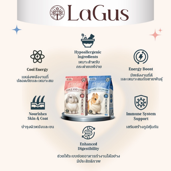 (1 KG) อาหารกระต่าย Lagus ลากัส สูตรเฉพาะสำหรับสายพันธุ์ Holland Lop & Netherland Dwarf - Image 2