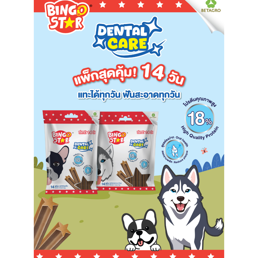 ( 14 แท่ง) Gluten Free - Bingo Star Dental Care ขนมขัดฟันสุนัข บิงโกสตาร์ เดนทัลแคร์  ฟันสะอาด แทะได้ทุกวัน - Image 2