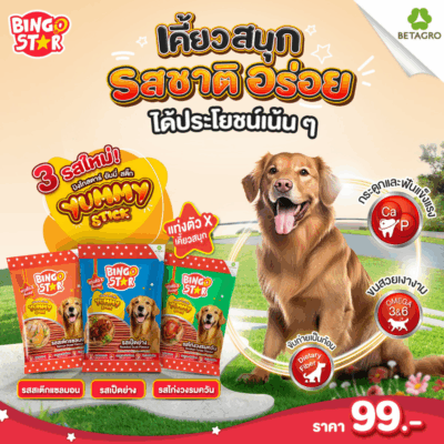 Alternative view of ( 500 g.) ขนมสุนัข Bingo Star Yummy Stick บิงโกสตาร์ยัมมี่สติ๊ก แบบแท่ง หยิบป้อนง่าย มีลายรสชาติ
