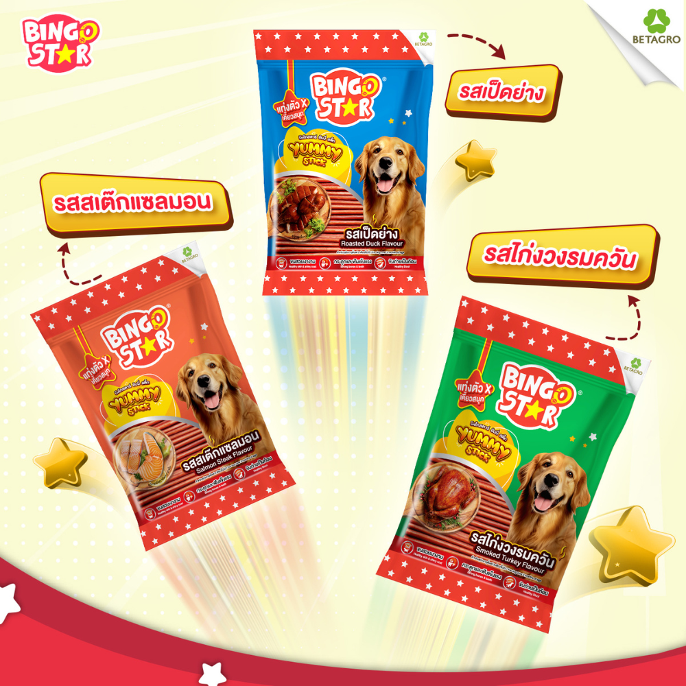 ( 500 g.) ขนมสุนัข Bingo Star Yummy Stick บิงโกสตาร์ยัมมี่สติ๊ก แบบแท่ง หยิบป้อนง่าย มีลายรสชาติ - Image 5