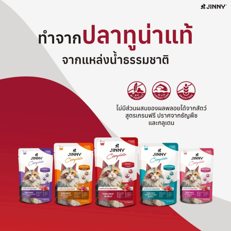 [ยกโหล 12 ซอง] Jinny Complete อาหารเปียกแมว จินนี่ คอมพลีท สูตรเกรนฟรี ไม่เติมเกลือและน้ำตาล - Image 11